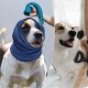 Dog Soothing Headband, Dog Ear Muffs Noise Protection, L, Blue Dog Soothing Headband, Dog Ear Muffs Noise Protection, L, Blue
