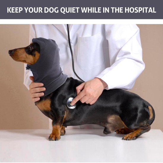 Dog Tube Scarf for Neck and Ear Warmers for Dogs, Earmuffs, Anxiety Relief and Soothing Dog Ears, Warm Winter Pet Tube Scarf, Reduces Noise, Purple, L Dog Tube Scarf for Neck and Ear Warmers for Dogs, Earmuffs, Anxiety Relief and Soothing Dog Ears, Warm Winter Pet Tube Scarf, Reduces Noise, Purple, L
