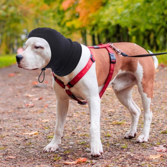 Dog Tube Scarf for Neck and Ear Warmers for Dogs, Earmuffs, Anxiety Relief and Soothing Dog Ears, Warm Winter Pet Tube Scarf, Reduces Noise, Purple, L Dog Tube Scarf for Neck and Ear Warmers for Dogs, Earmuffs, Anxiety Relief and Soothing Dog Ears, Warm Winter Pet Tube Scarf, Reduces Noise, Purple, L