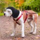 Dog Tube Scarf for Neck and Ear Warmers for Dogs, Earmuffs, Anxiety Relief and Soothing Dog Ears, Warm Winter Pet Tube Scarf, Reduces Noise, Purple, L