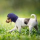 Dog Tube Scarf for Neck and Ear Warmers for Dogs, Earmuffs, Anxiety Relief and Soothing Dog Ears, Warm Winter Pet Tube Scarf, Reduces Noise, Purple, L