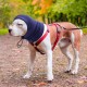 Dog Tube Scarf for Neck and Ear Warmers for Dogs, Earmuffs, Anxiety Relief and Soothing Dog Ears, Warm Winter Pet Tube Scarf, Reduces Noise, Purple, L