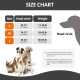 Duuclume Waterproof Dog Earmuffs for Grooming, Bathing, Swimming, Soothing Hoodie, Earmuffs, Noise Protection for Blow Drying, Sleep Aid, Headband (Grey, S) Duuclume Waterproof Dog Earmuffs for Grooming, Bathing, Swimming, Soothing Hoodie, Earmuffs, Noise Protection for Blow Drying, Sleep Aid, Headband (Grey, S)