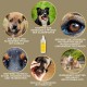 EMMA Ear Cleaner Dog & Eye Drops Dog - Ear Drops for Dogs - First Aid Set Dogs - Ear Cleaning Against Itching & Protection - Ear Care Ear Cleaner Tear Stains Dog Remove 2 x 100 ml