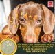 EMMA Ear Cleaner Dog & Eye Drops Dog - Ear Drops for Dogs - First Aid Set Dogs - Ear Cleaning Against Itching & Protection - Ear Care Ear Cleaner Tear Stains Dog Remove 2 x 100 ml
