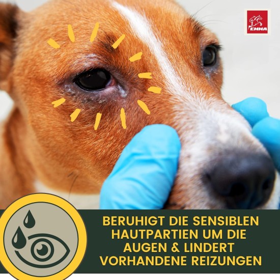 EMMA Ear Cleaner Dog & Eye Drops Dog - Ear Drops for Dogs - First Aid Set Dogs - Ear Cleaning Against Itching & Protection - Ear Care Ear Cleaner Tear Stains Dog Remove 2 x 100 ml EMMA Ear Cleaner Dog & Eye Drops Dog - Ear Drops for Dogs - First Aid Set Dogs - Ear Cleaning Against Itching & Protection - Ear Care Ear Cleaner Tear Stains Dog Remove 2 x 100 ml