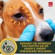 EMMA Ear Cleaner Dog & Eye Drops Dog - Ear Drops for Dogs - First Aid Set Dogs - Ear Cleaning Against Itching & Protection - Ear Care Ear Cleaner Tear Stains Dog Remove 2 x 100 ml