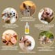 EMMA Ear Cleaner Dog & Eye Drops Dog - Ear Drops for Dogs - First Aid Set Dogs - Ear Cleaning Against Itching & Protection - Ear Care Ear Cleaner Tear Stains Dog Remove 2 x 100 ml