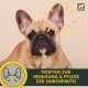 EMMA Ear Cleaner Dog & Eye Drops Dog - Ear Drops for Dogs - First Aid Set Dogs - Ear Cleaning Against Itching & Protection - Ear Care Ear Cleaner Tear Stains Dog Remove 2 x 100 ml