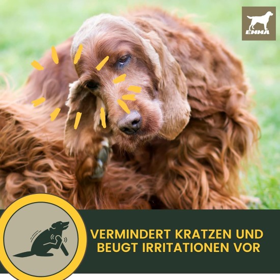 EMMA Ear Cleaner Dog & Eye Drops Dog - Ear Drops for Dogs - First Aid Set Dogs - Ear Cleaning Against Itching & Protection - Ear Care Ear Cleaner Tear Stains Dog Remove 2 x 100 ml EMMA Ear Cleaner Dog & Eye Drops Dog - Ear Drops for Dogs - First Aid Set Dogs - Ear Cleaning Against Itching & Protection - Ear Care Ear Cleaner Tear Stains Dog Remove 2 x 100 ml