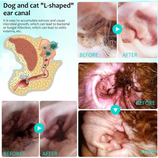 Ear Care for Dogs, Pet Ear Mite Oil, Ear Mite Treatment, Ear Drops for Dogs, Relieves Yeast Infection, Itching and Odour, Reduces Ear Mites and Deposits, for Cats and Dogs (1 Piece) Ear Care for Dogs, Pet Ear Mite Oil, Ear Mite Treatment, Ear Drops for Dogs, Relieves Yeast Infection, Itching and Odour, Reduces Ear Mites and Deposits, for Cats and Dogs (1 Piece)