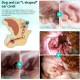 Ear Care for Dogs, Pet Ear Mite Oil, Ear Mite Treatment, Ear Drops for Dogs, Relieves Yeast Infection, Itching and Odour, Reduces Ear Mites and Deposits, for Cats and Dogs (1 Piece) Ear Care for Dogs, Pet Ear Mite Oil, Ear Mite Treatment, Ear Drops for Dogs, Relieves Yeast Infection, Itching and Odour, Reduces Ear Mites and Deposits, for Cats and Dogs (1 Piece)