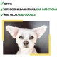Ear Cleaner for Dogs with Natural Ingredients | Remove Earwax, Dirt and Secretions to Avoid Ear Inflammation | For Dog Ear Care Ear Cleaner for Dogs with Natural Ingredients | Remove Earwax, Dirt and Secretions to Avoid Ear Inflammation | For Dog Ear Care