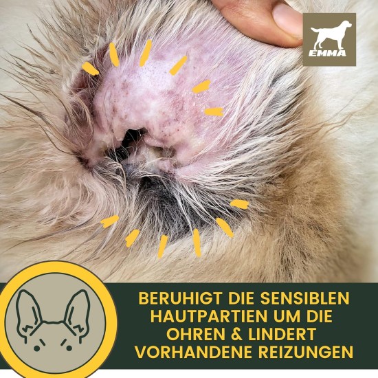 Ear Drops for Dogs • Ear Cleaner Dog • Ear Drops Dog Against Itching • Dog Ear Wash with Chamomile • Dog Ear Cleaner for Ear Infection Dog - Dirt & Earwax Remover 100 ml Ear Drops for Dogs • Ear Cleaner Dog • Ear Drops Dog Against Itching • Dog Ear Wash with Chamomile • Dog Ear Cleaner for Ear Infection Dog - Dirt & Earwax Remover 100 ml