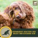 Ear Drops for Dogs • Ear Cleaner Dog • Ear Drops Dog Against Itching • Dog Ear Wash with Chamomile • Dog Ear Cleaner for Ear Infection Dog - Dirt & Earwax Remover 100 ml Ear Drops for Dogs • Ear Cleaner Dog • Ear Drops Dog Against Itching • Dog Ear Wash with Chamomile • Dog Ear Cleaner for Ear Infection Dog - Dirt & Earwax Remover 100 ml