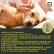 Ear Drops for Dogs • Ear Cleaner Dog • Ear Drops Dog Against Itching • Dog Ear Wash with Chamomile • Dog Ear Cleaner for Ear Infection Dog - Dirt & Earwax Remover 100 ml Ear Drops for Dogs • Ear Cleaner Dog • Ear Drops Dog Against Itching • Dog Ear Wash with Chamomile • Dog Ear Cleaner for Ear Infection Dog - Dirt & Earwax Remover 100 ml