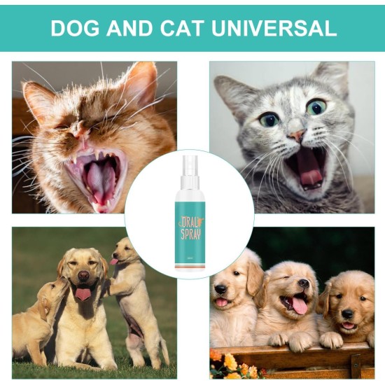 Ear Drops for Dogs and Cats, Ear Mite Oil, Ear Cleaner Dog and Cat, Ear Drops for Dogs Against Mites, Gentle Ear Cleaning Remover, 120 ml, Ear Cleaner for Ear Inflammation Ear Drops for Dogs and Cats, Ear Mite Oil, Ear Cleaner Dog and Cat, Ear Drops for Dogs Against Mites, Gentle Ear Cleaning Remover, 120 ml, Ear Cleaner for Ear Inflammation