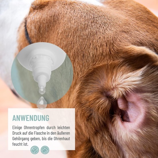 Ear Drops with Colloidal Silver, 50 ml, For Dogs and Cats, Very Good for Ear Inflammation, Itching, Germs, Fungi and Bacteria, Ear Care, Ear Hygiene, Healthy Ears Ear Drops with Colloidal Silver, 50 ml, For Dogs and Cats, Very Good for Ear Inflammation, Itching, Germs, Fungi and Bacteria, Ear Care, Ear Hygiene, Healthy Ears