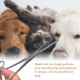 Ear Hair Tweezers for Pets, Stainless Steel Hemostat, Pet Tweezers for Dogs and Cats, Hemostat, Veterinary Pliers, Pet Puller Tweezers, Clamp with Straight End, Pet Puller Tweezers