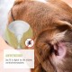 Ear Mite Oil Plus 50 ml Instant Effective Remedy for Dogs - Against Ear Mites with Chamomile for Dogs, Gentle Care for Itching in the Ear, Ear Drops Mites, Ear Cleaner Ear Mite Oil Plus 50 ml Instant Effective Remedy for Dogs - Against Ear Mites with Chamomile for Dogs, Gentle Care for Itching in the Ear, Ear Drops Mites, Ear Cleaner