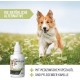 Ear Mite Oil Plus 50 ml Instant Effective Remedy for Dogs - Against Ear Mites with Chamomile for Dogs, Gentle Care for Itching in the Ear, Ear Drops Mites, Ear Cleaner Ear Mite Oil Plus 50 ml Instant Effective Remedy for Dogs - Against Ear Mites with Chamomile for Dogs, Gentle Care for Itching in the Ear, Ear Drops Mites, Ear Cleaner