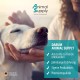 Ear Mite Oil for Pets 50 ml Instant Effective Remedy for Dogs, Cats & Pets - Against Ear Mites with Chamomile, Gentle Care for Itching in the Ear Ear Mite Oil for Pets 50 ml Instant Effective Remedy for Dogs, Cats & Pets - Against Ear Mites with Chamomile, Gentle Care for Itching in the Ear
