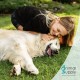 Ear Mite Oil for Pets 50 ml Instant Effective Remedy for Dogs, Cats & Pets - Against Ear Mites with Chamomile, Gentle Care for Itching in the Ear Ear Mite Oil for Pets 50 ml Instant Effective Remedy for Dogs, Cats & Pets - Against Ear Mites with Chamomile, Gentle Care for Itching in the Ear