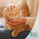 Ear Mite Oil for Pets 50 ml Instant Effective Remedy for Dogs, Cats & Pets - Against Ear Mites with Chamomile, Gentle Care for Itching in the Ear Ear Mite Oil for Pets 50 ml Instant Effective Remedy for Dogs, Cats & Pets - Against Ear Mites with Chamomile, Gentle Care for Itching in the Ear