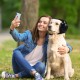 Ear Muffs for Dogs, Ear Protection for Dogs, Adjustable Dogs, Noise Reduction Earmuffs, Sound Insulation and Noise Reduction Hearing Protection for Dogs