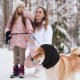 Ear Muffs without Flap for Dogs, Snoods for Medium Dogs, Earmuffs for Noise Protection, Earmuffs for Pets to Relieve Anxiety of Thunder (M, 20 x 15 cm)