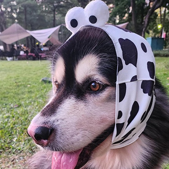 Ear Protection Dog, Dog Ear Cover for Anxiety Relief Dog Scarf for Neck and Ear Warmers Ear Protection for Dogs Ear Protection Dog Wind Soothing Dog Ear Cover (S) Ear Protection Dog, Dog Ear Cover for Anxiety Relief Dog Scarf for Neck and Ear Warmers Ear Protection for Dogs Ear Protection Dog Wind Soothing Dog Ear Cover (S)