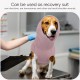 Ear Protection Dog, Ear Protection, Dog Blood Ear Noise Protection, Dog Ear Pain Ear Protection, Dogs for Wounds, Dogs, Ear Protection, New Year's Eve, Soothing Vest for Dogs, Body Shirt with Neck