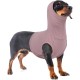 Ear Protection Dog, Ear Protection, Dog Blood Ear Noise Protection, Dog Ear Pain Ear Protection, Dogs for Wounds, Dogs, Ear Protection, New Year's Eve, Soothing Vest for Dogs, Body Shirt with Neck