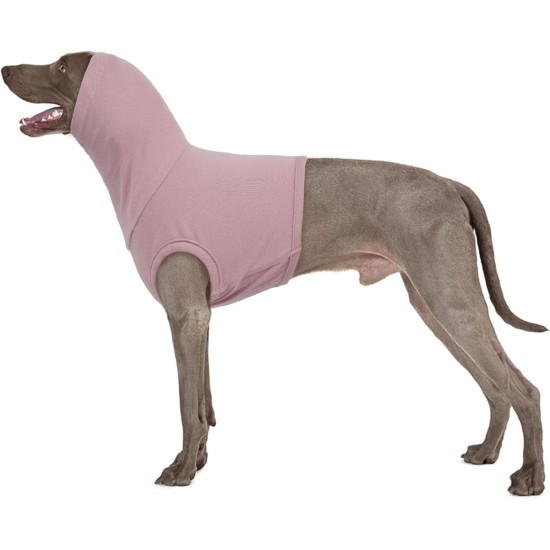 Ear Protection Dog, Ear Protection, Dog Blood Ear Noise Protection, Dog Ear Pain Ear Protection, Dogs for Wounds, Dogs, Ear Protection, New Year's Eve, Soothing Vest for Dogs, Body Shirt with Neck