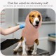 Ear Protection Dog, Ear Protection, Dog Blood Ear Noise Protection, Dog Ear Pain Ear Protection, Dogs for Wounds, Dogs, Ear Protection, New Year's Eve, Soothing Vest for Dogs, Body Shirt with Neck