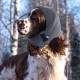 Ear Protection for Dogs Soothing with Adjustable Self-Adhesive Pet Ear Flap Head Wrap Earmuffs Winter Hat Ear Protection Dog for Anxiety Relief and Soothing (L)