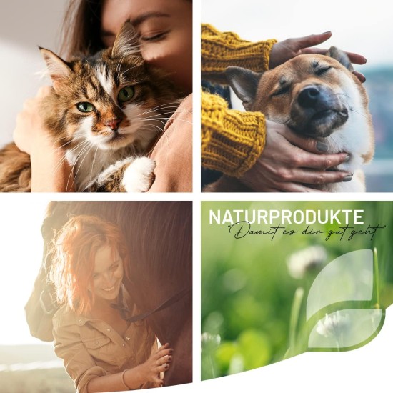 Ear care oil for dogs and cats, ear care with jojoba oil, 75 ml, care for dog ears, ear drops, gentle ear care for itching and irritation Ear care oil for dogs and cats, ear care with jojoba oil, 75 ml, care for dog ears, ear drops, gentle ear care for itching and irritation