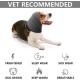 Earmuffs for Dogs, Dog Hat, Pet, Dogs, Hearing Protection, Dog Ear Flap, Dog Head Wrap, Neck and Ears, Warmer, Dog Ear Protection, Hearing Protection for Dogs, New Year's Eve Dog Headphones Earmuffs for Dogs, Dog Hat, Pet, Dogs, Hearing Protection, Dog Ear Flap, Dog Head Wrap, Neck and Ears, Warmer, Dog Ear Protection, Hearing Protection for Dogs, New Year's Eve Dog Headphones