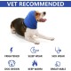 Earmuffs for Dogs, Dog Hat, Pet, Dogs, Hearing Protection, Dog Ear Flap, Dog Head Wrap, Neck and Ears, Warmer, Dog Ear Protection, Hearing Protection for Dogs, New Year's Eve Dog Headphones Earmuffs for Dogs, Dog Hat, Pet, Dogs, Hearing Protection, Dog Ear Flap, Dog Head Wrap, Neck and Ears, Warmer, Dog Ear Protection, Hearing Protection for Dogs, New Year's Eve Dog Headphones