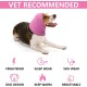 Earmuffs for Dogs, Dog Hat, Pet, Dogs, Hearing Protection, Dog Ear Flap, Dog Head Wrap, Neck and Ears, Warmer, Dog Ear Protection, Hearing Protection for Dogs, New Year's Eve Dog Headphones Earmuffs for Dogs, Dog Hat, Pet, Dogs, Hearing Protection, Dog Ear Flap, Dog Head Wrap, Neck and Ears, Warmer, Dog Ear Protection, Hearing Protection for Dogs, New Year's Eve Dog Headphones