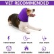 Earmuffs for Dogs, Dog Hat, Pet, Dogs, Hearing Protection, Dog Ear Flap, Dog Head Wrap, Neck and Ears, Warmer, Dog Ear Protection, Hearing Protection for Dogs, New Year's Eve Dog Headphones Earmuffs for Dogs, Dog Hat, Pet, Dogs, Hearing Protection, Dog Ear Flap, Dog Head Wrap, Neck and Ears, Warmer, Dog Ear Protection, Hearing Protection for Dogs, New Year's Eve Dog Headphones