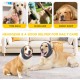 FFWTPY Soothing Earmuffs for Dogs Hat Winter Hearing Protection Dog Casque Pour Chien Cats Earmuffs Warm Pet Scarf Dog Soothing Hoodie Quiet Ears for Dogs (L) FFWTPY Soothing Earmuffs for Dogs Hat Winter Hearing Protection Dog Casque Pour Chien Cats Earmuffs Warm Pet Scarf Dog Soothing Hoodie Quiet Ears for Dogs (L)