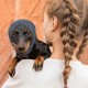 FFWTPY Soothing Earmuffs for Dogs Hat Winter Hearing Protection Dog Casque Pour Chien Cats Earmuffs Warm Pet Scarf Dog Soothing Hoodie Quiet Ears for Dogs (L) FFWTPY Soothing Earmuffs for Dogs Hat Winter Hearing Protection Dog Casque Pour Chien Cats Earmuffs Warm Pet Scarf Dog Soothing Hoodie Quiet Ears for Dogs (L)