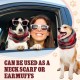 Geyoga Pack of 3 Soothing Earmuffs for Dogs, Tube Scarf for Dog Ears, Red, Black, Checked for Dogs, Noise Protection, Anxiety Relieving Dogs, Earmuffs for Christmas, Bathing and Grooming (S) Geyoga Pack of 3 Soothing Earmuffs for Dogs, Tube Scarf for Dog Ears, Red, Black, Checked for Dogs, Noise Protection, Anxiety Relieving Dogs, Earmuffs for Christmas, Bathing and Grooming (S)