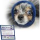 Happy Hoodie The Original Calming Band for Dogs and Cats, Anxiety Relief/Noise Protection, Grooming, Thunder Fireworks (XS, Black) Happy Hoodie The Original Calming Band for Dogs and Cats, Anxiety Relief/Noise Protection, Grooming, Thunder Fireworks (XS, Black)