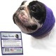 Happy Hoodie The Original Calming Band for Dogs and Cats, Anxiety Relief/Noise Protection, Grooming, Thunder Fireworks (XS, Black) Happy Hoodie The Original Calming Band for Dogs and Cats, Anxiety Relief/Noise Protection, Grooming, Thunder Fireworks (XS, Black)