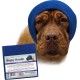 Happy Hoodie The Original Calming Band for Dogs and Cats, Anxiety Relief/Noise Protection, Grooming, Thunder Fireworks (XS, Black) Happy Hoodie The Original Calming Band for Dogs and Cats, Anxiety Relief/Noise Protection, Grooming, Thunder Fireworks (XS, Black)