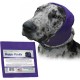 Happy Hoodie The Original Calming Band for Dogs and Cats, Anxiety Relief/Noise Protection, Grooming, Thunder Fireworks (XS, Black) Happy Hoodie The Original Calming Band for Dogs and Cats, Anxiety Relief/Noise Protection, Grooming, Thunder Fireworks (XS, Black)