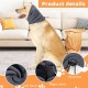 Hearing Protection Dog, Ear Muffs Dog, Hearing Protection Dog New Year's Eve, Hearing Protection Dog Hoodie for Dog Neck and Ear Warmers, Noise Protection for Dogs, Dog Wind, M (Grey) Hearing Protection Dog, Ear Muffs Dog, Hearing Protection Dog New Year's Eve, Hearing Protection Dog Hoodie for Dog Neck and Ear Warmers, Noise Protection for Dogs, Dog Wind, M (Grey)