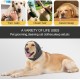 Hundehalsband Ohrenschützer, Bequeme Hunde-Ohrenschützer, Verstellbare Ohrenschutz Hund, Beruhigende Ohrenschützer für Hunde, Hunde-Ohrenschutz, zur Angstlinderung Beruhigung (Größe S) Hundehalsband Ohrenschützer, Bequeme Hunde-Ohrenschützer, Verstellbare Ohrenschutz Hund, Beruhigende Ohrenschützer für Hunde, Hunde-Ohrenschutz, zur Angstlinderung Beruhigung (Größe S)